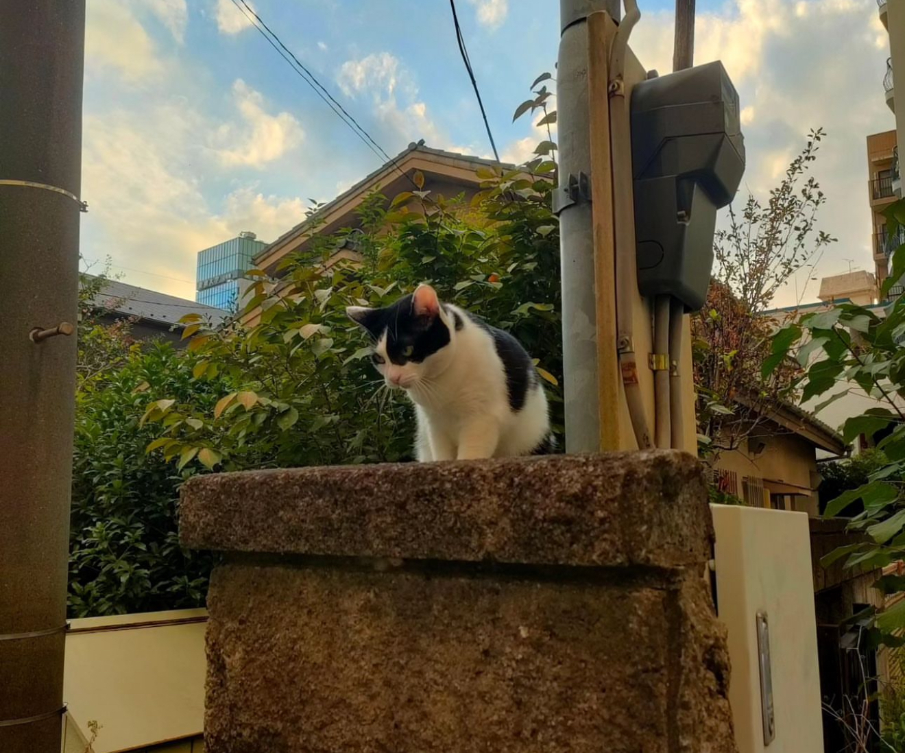 松戸駅　浮気調査