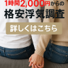 プチ調査プラン