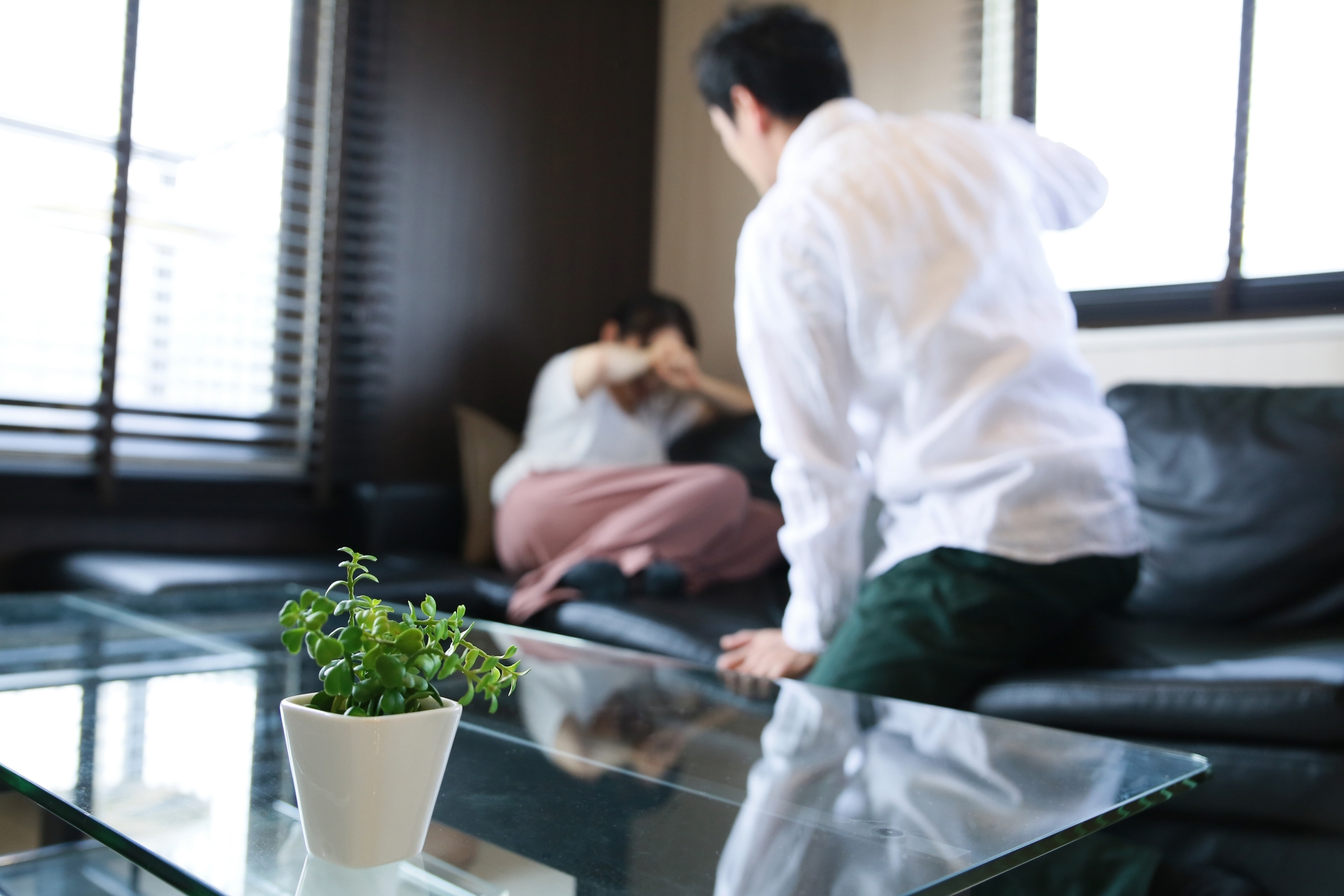 「共同親権」予想されるでっち上げDV