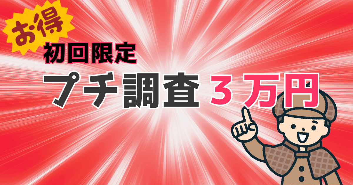プチ調査プランに注意