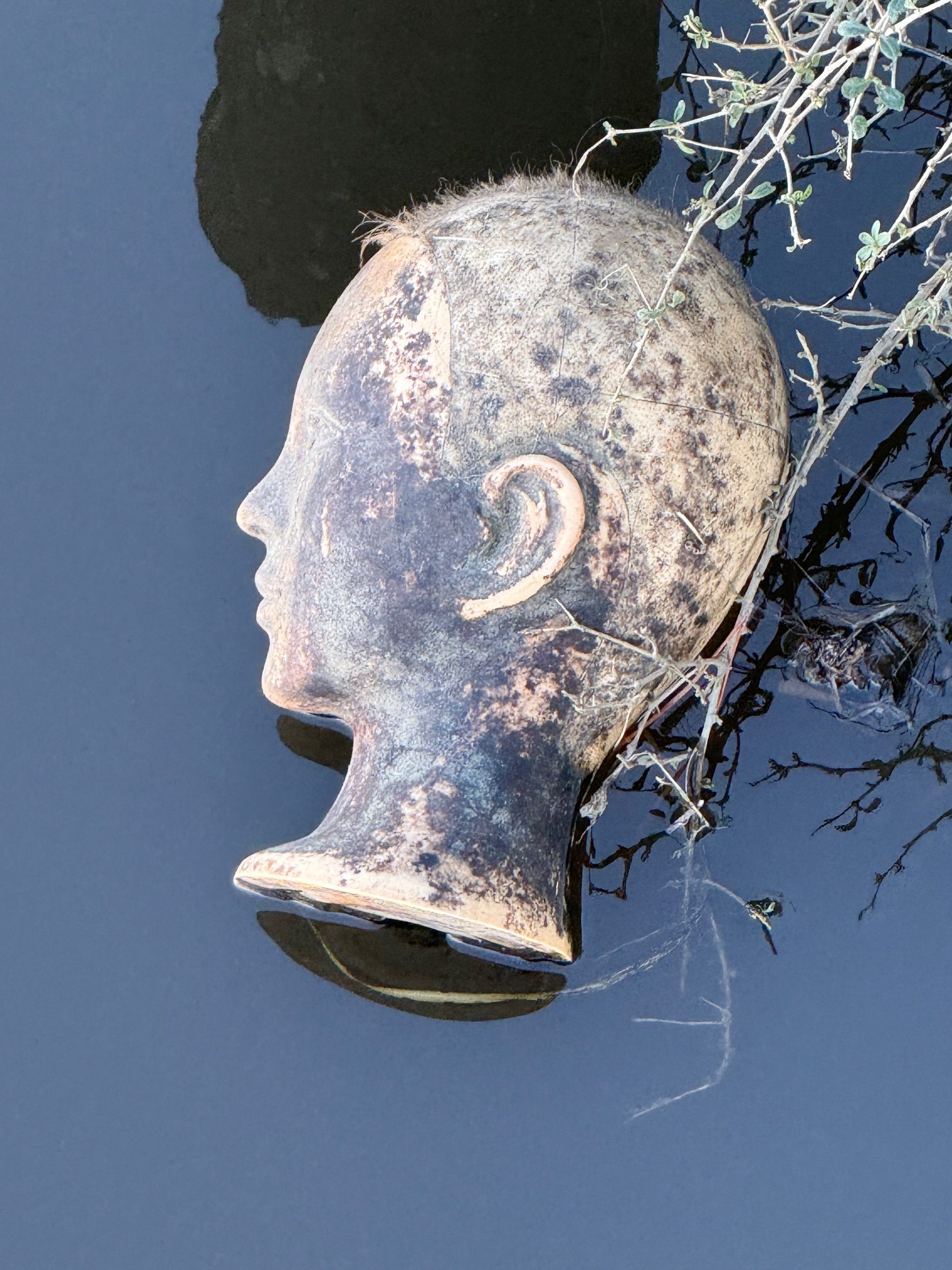 アップで確認するとマネキンの頭