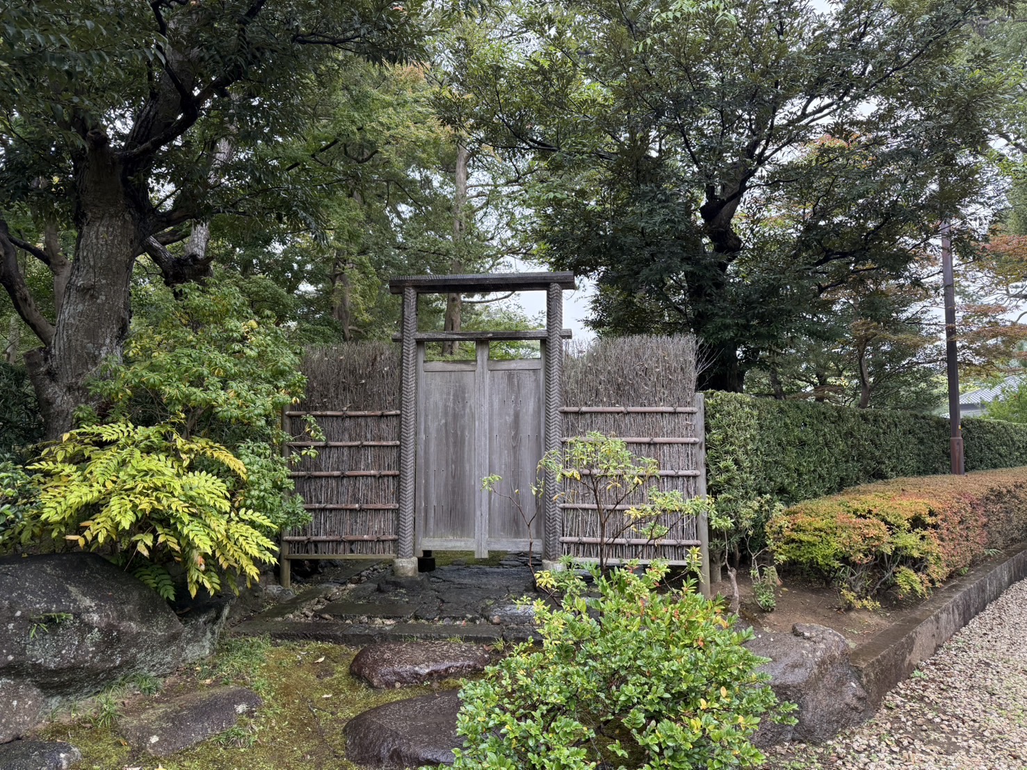 徳川昭武ゆかりを感じる展示・資料2
