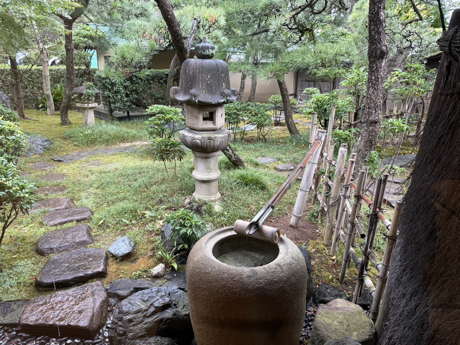 庭の表情