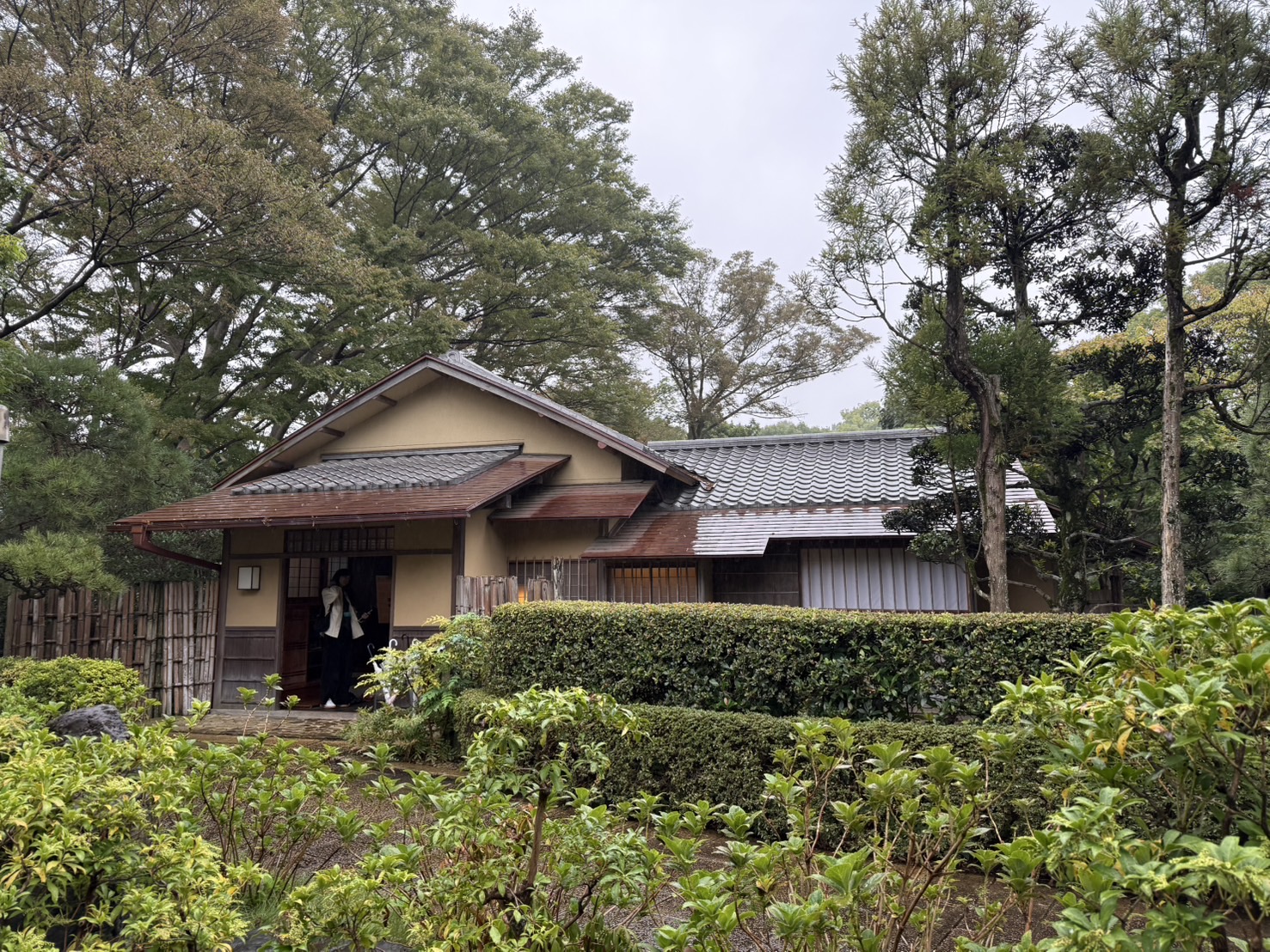 座敷の光