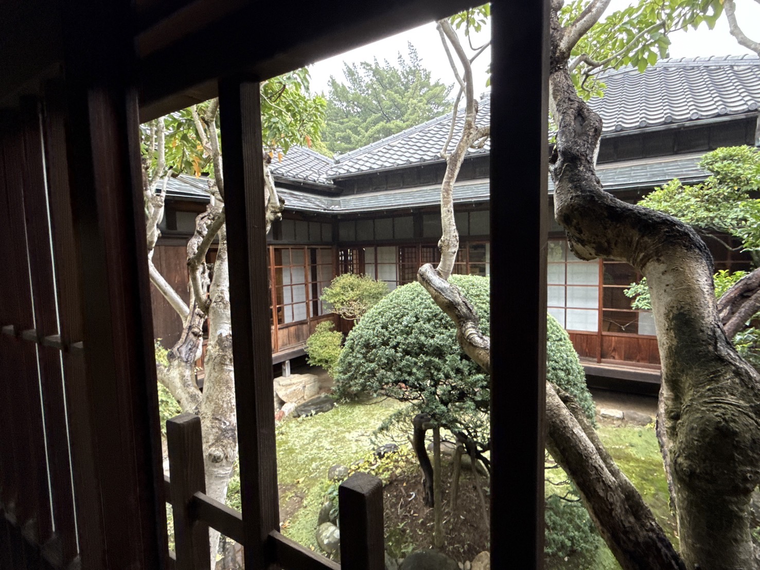 庭石・苔むす景色