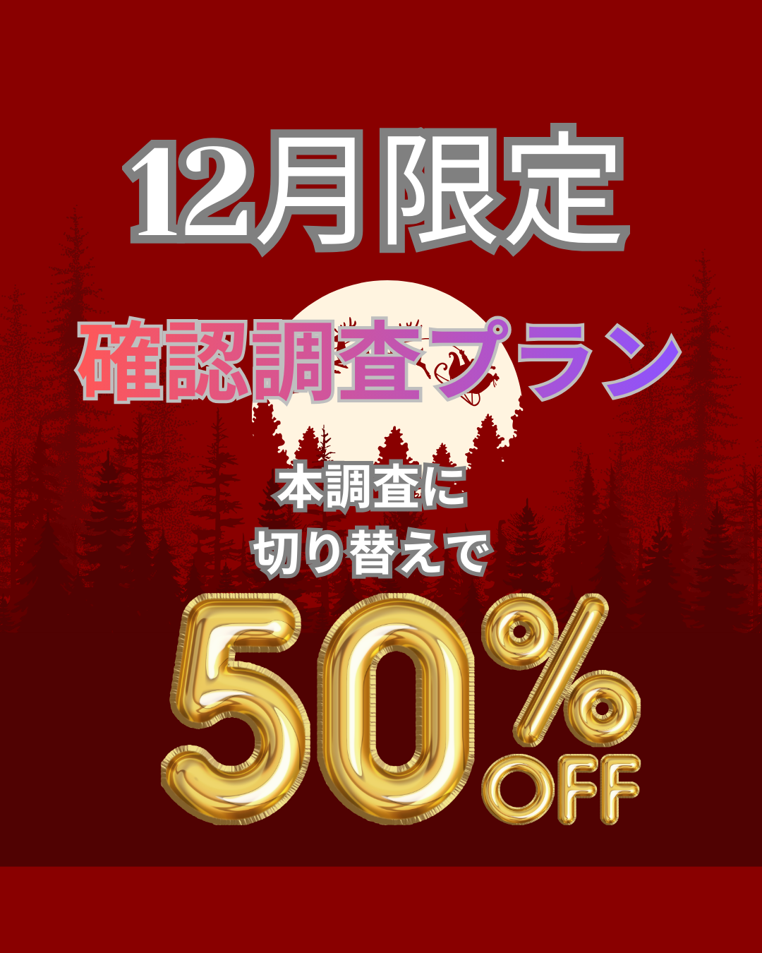 12月限定確認調査プラン