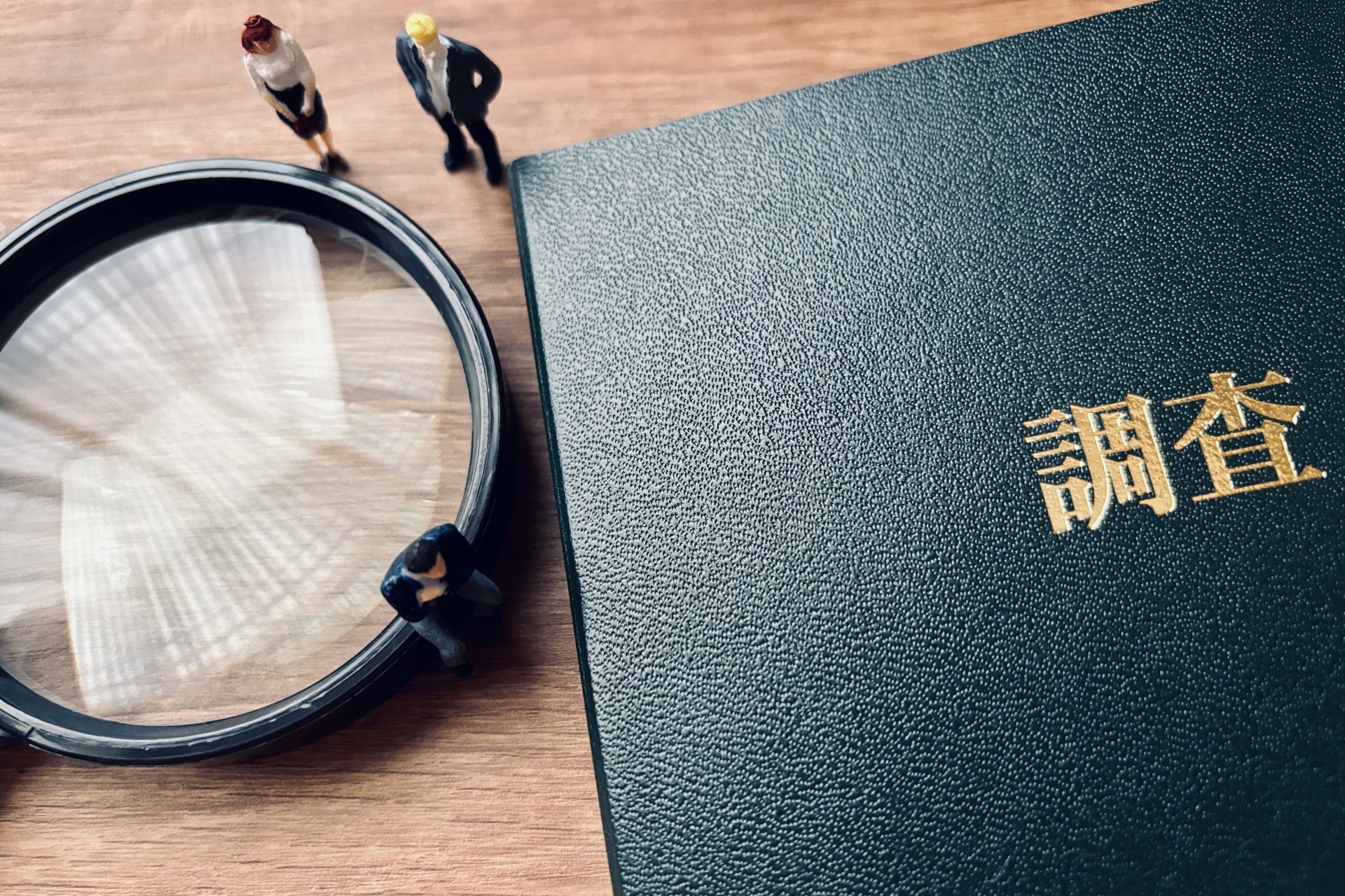 調査報告書のイメージ